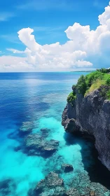 Littoral cliff interface above cyan reef gradient waters.