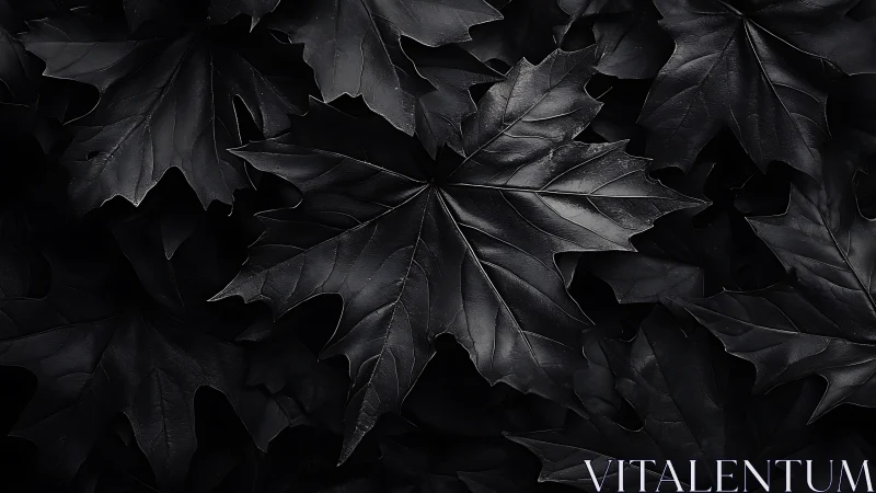 Midnight maple leaves in glossy monochrome texture.