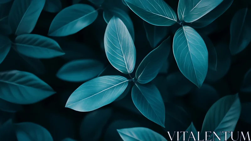 Blue-toned foliage study isolates leaf structure in soft focus