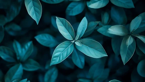 Central cyan foliage rendered with shallow depth of field