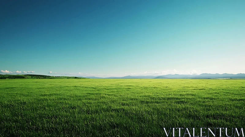 Endless green meadow stretches calmly beneath clear sky