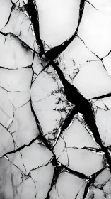 Shattered glass fractures form stark monochrome tension field.