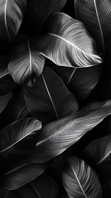 Silver-veined jungle leaves in sculpted monochrome hush.