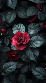 Crimson Roses with Pale Sage Foliage in Dark Moody Setting