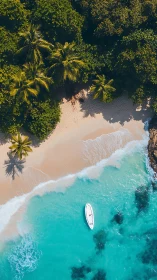 Paradise Beach Escape with Palm Trees and Moored Boat