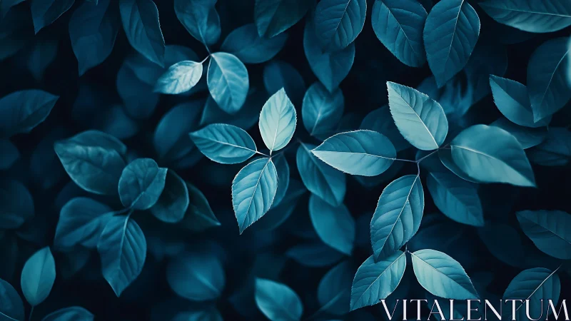 Cyan tinted macro foliage pattern under soft diffused light