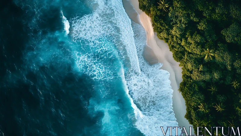 Turquoise surf kissing quiet tropical shoreline from above.