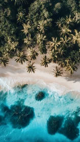 Tropical Paradise: Palm Trees Meet Turquoise Ocean Waves