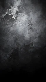 Soft shadows on weathered concrete wall invite quiet focus.