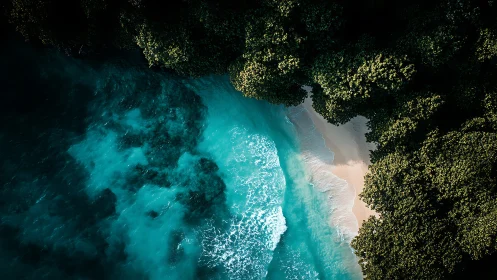 Aerial Coastal Vista: Turquoise Waters Meet Dense Forest.