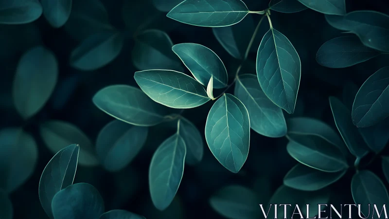 Moonlit teal leaves drifting over a whispering forest hush.