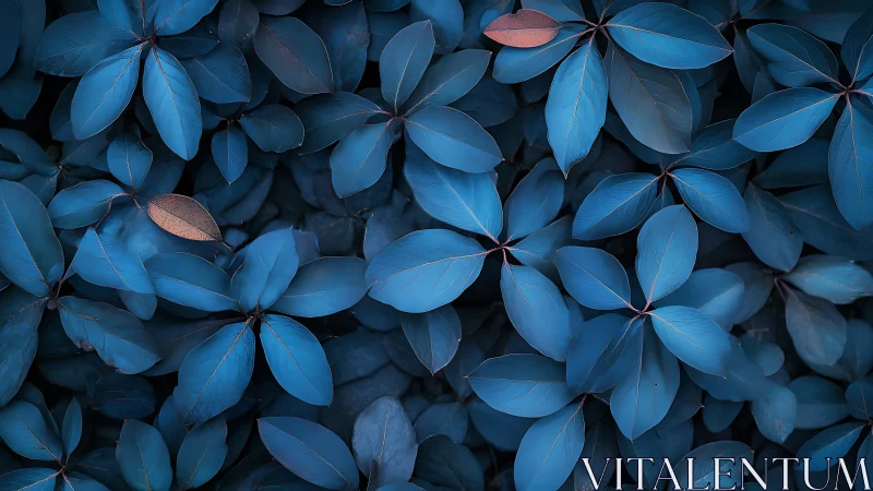 Blue-toned foliage fills the frame with dense overlapping leaves
