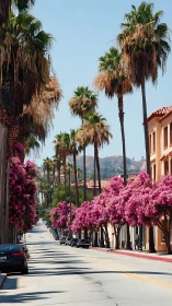 Palm lined urban street with pink flowering trees in summer.