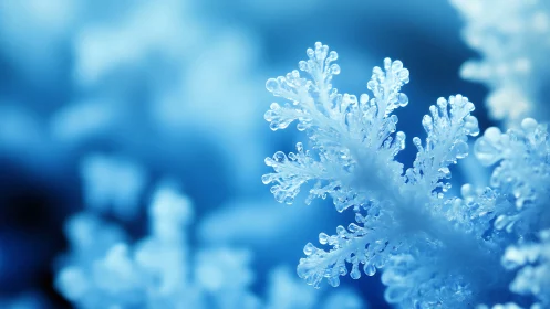 Macro crystalline snowflake in cool monochrome focus study.
