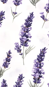 Purple Lavender Blooms in Soft Harmony.