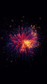 Radiant neon fireworks bloom against a deep night sky.