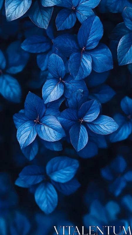 Monochrome cobalt leaves in soft-focus botanical closeup.