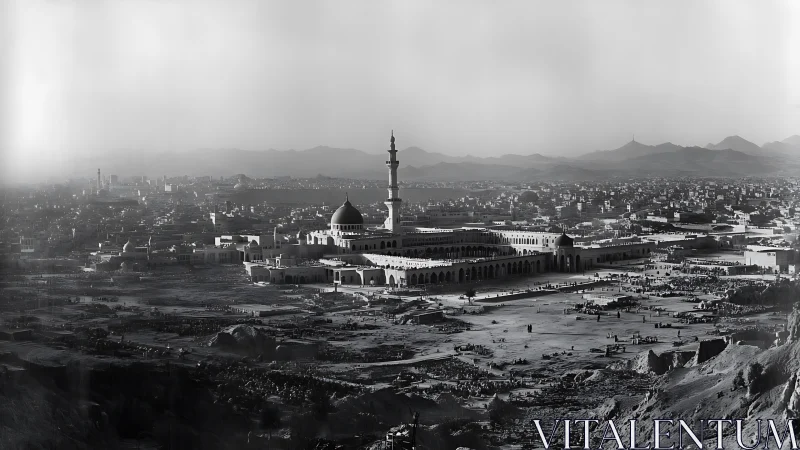Panoramic view shows large mosque complex within desert city