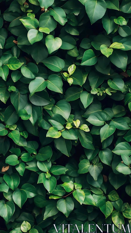Dense green foliage fills the vertical frame with layered leaves.