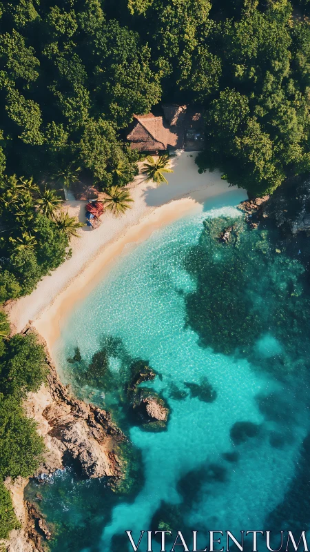 Tropical Island Resort Nestled Between Dense Jungle Coastline