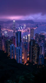 Dense high-rise city skyline overlooks harbor at twilight