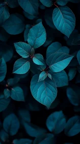 Midnight blue leaves glow softly in a quiet forest hush