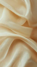 Ivory sheer fabric folds with soft luminous highlights.