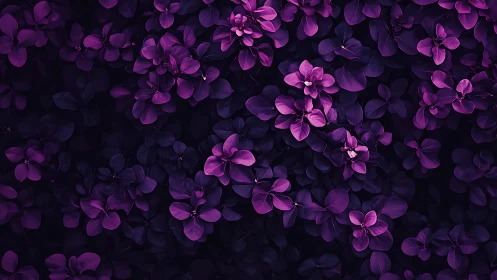 Violet floral canopy glows softly against deep shadowed foliage