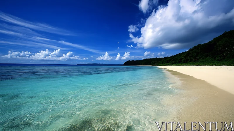 Tropical Beach with Turquoise Waters and White Sand.