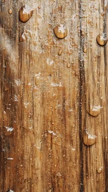 Rain-kissed timber grain with glistening amber droplets.