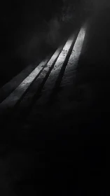 Quiet beams of light gently cutting through heavy darkness