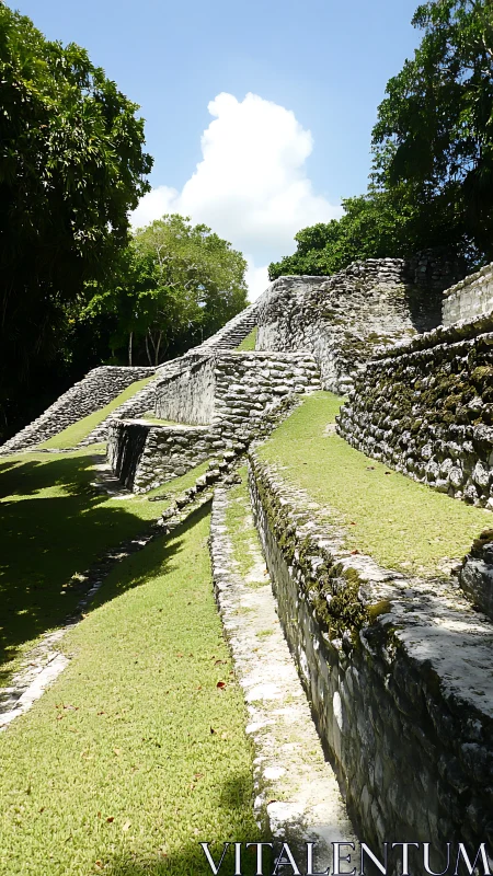 Stepped jungle ruins lean sunward along bright green terraces
