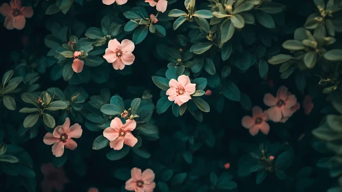Pink flowers bloom densely among dark teal foliage
