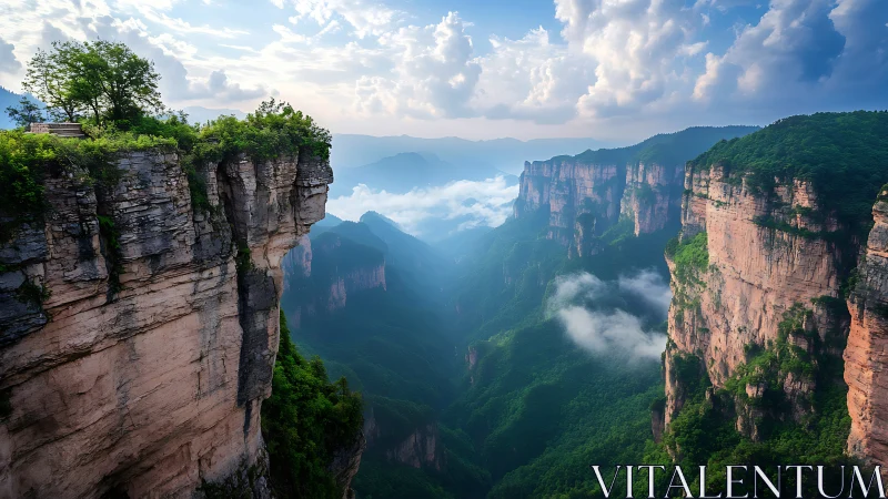 Clifftop lookout welcomes soft clouds over lush green canyon