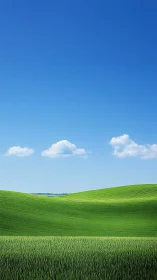 Rolling green hills under clear blue sky invite calm reflection.