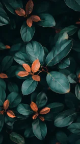 Contrasting green and orange foliage occupies the vertical frame