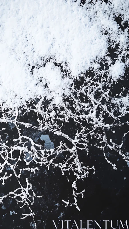 Crystalline snow veins tracing organic patterns on ice.