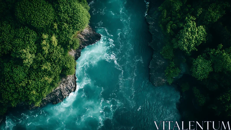 Aerial view of turquoise river between dense forest banks.