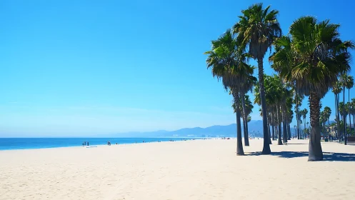 Coastal Beach with Palm Trees and Mountain Range.