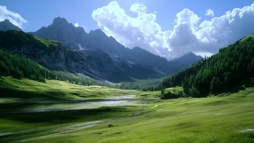 Mountain valley with grasslands, forest slopes and clouds.