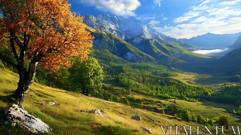 Golden hillside tree overlooking a sunlit mountain valley.