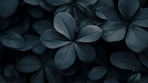 Dark clover macro study with soft directional lighting.