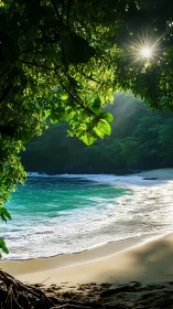 Sun-dappled jungle cove cradling turquoise whispering surf.