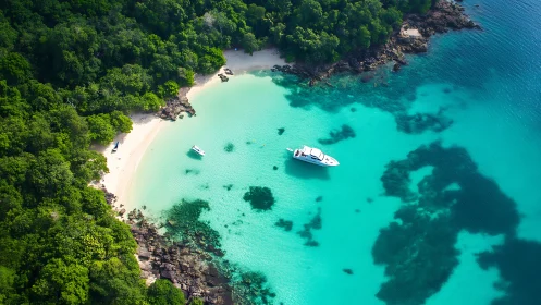 Aerial coastal inlet survey with chromatic water stratification and tropical forest canopy