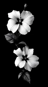 Monochromatic Floral Study: Bilateral Composition with Emerging Bud.