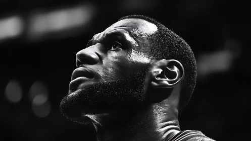 Monochrome courtside portrait in dramatic upward angle study.