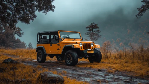 Amber trailblazer jeep posing in mist-wrapped wild meadow.