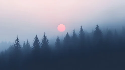 Soft pink sun over mist-laden conifer forest horizon.