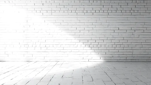 Sunlit white brick wall creates clean minimalist backdrop
