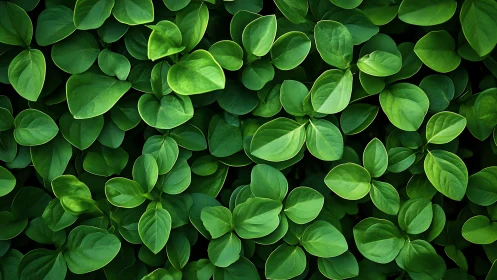 Vibrant green foliage forms a soothing natural background